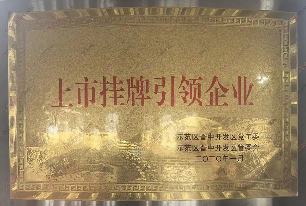 上市掛牌引領(lǐng)企業(yè)